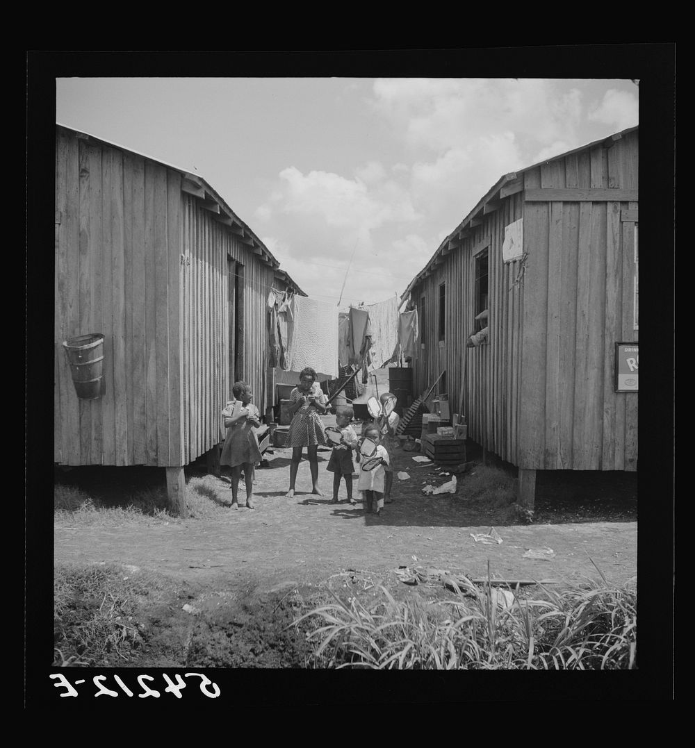 Some families of vegetable pickers still live in crowded filthy shacks around Belle Glade, Florida. Sourced from the Library…