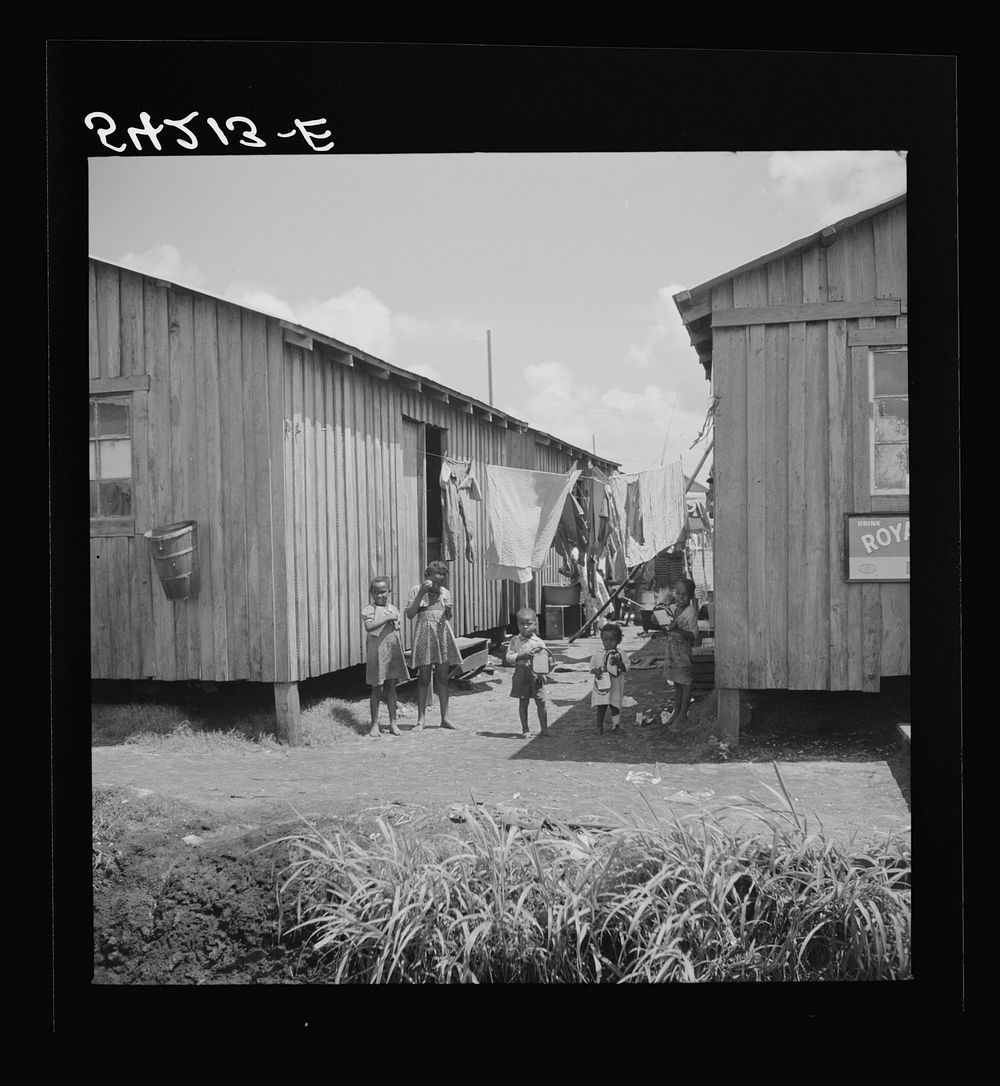 [Untitled photo, possibly related to: Some families of vegetable pickers still live in crowded filthy shacks around Belle…
