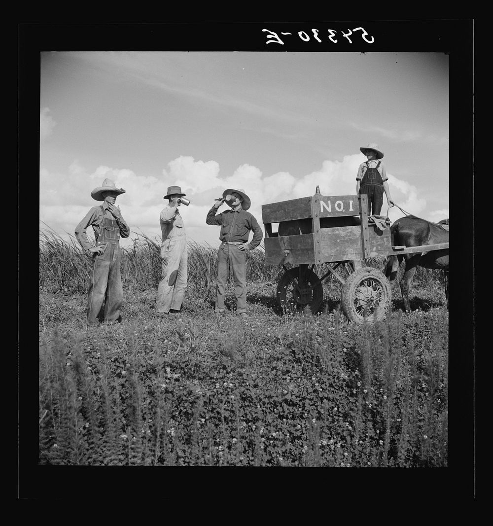 [Untitled photo, possibly related to: Terrebonne Project, Schriever, Louisiana]. Sourced from the Library of Congress.
