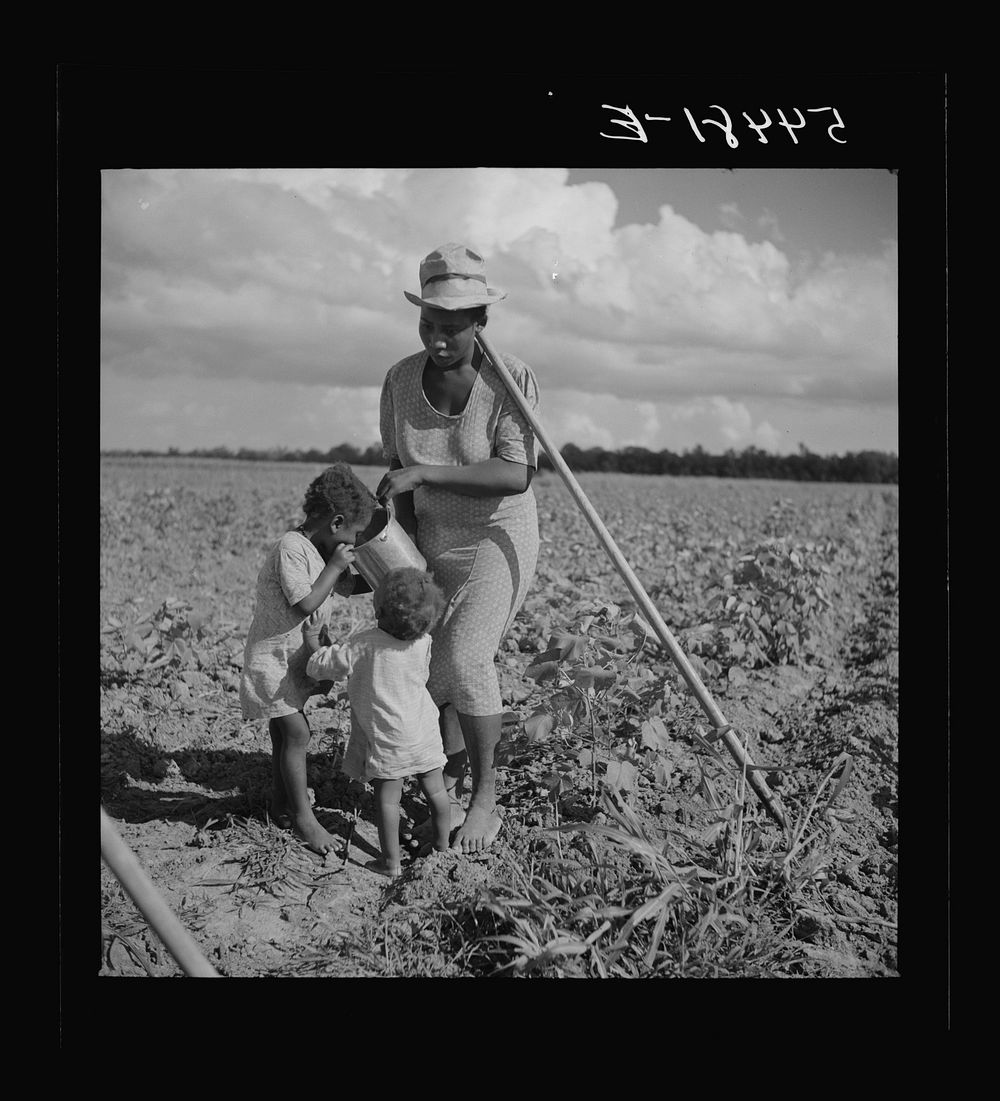 Member of Allen Plantation cooperative association resting while hoeing cotton. Near Natchitoches, Louisiana. Sourced from…