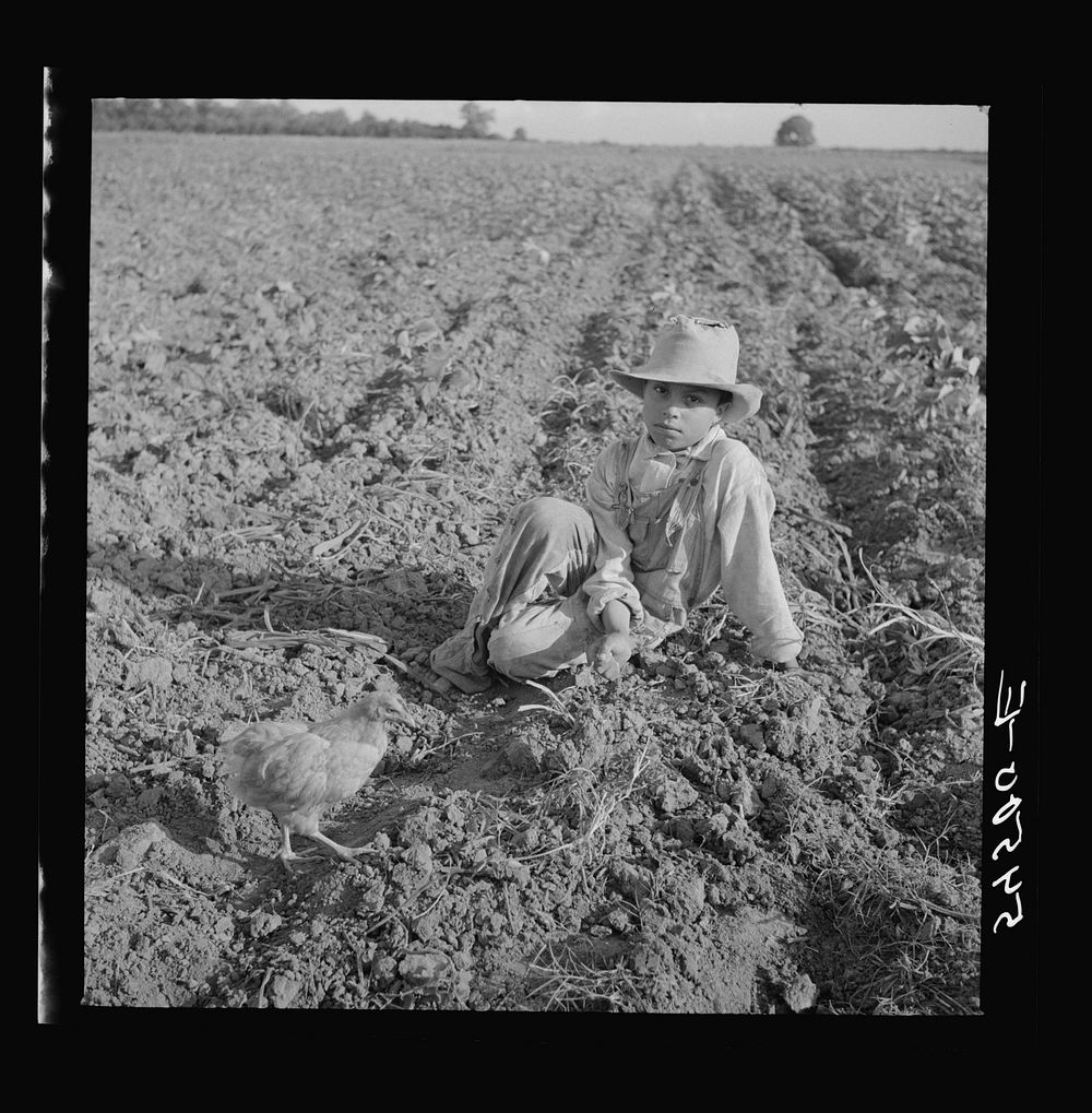 [Untitled photo, possibly related to: Son of member of Allen Plantation cooperative association resting after hoeing cotton.…