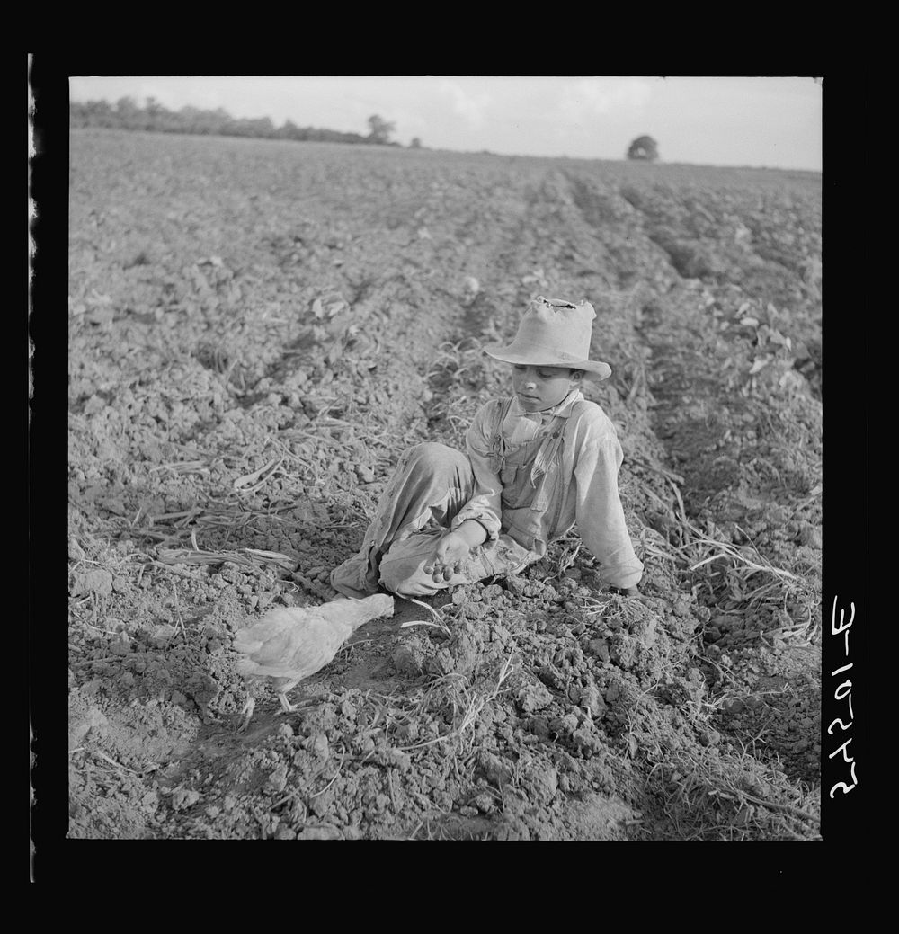 Son of member of Allen Plantation cooperative association resting after hoeing cotton. Near Natchitoches, Louisiana. Sourced…