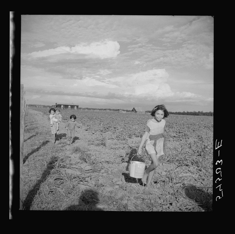Daughter of member of Allen Plantation cooperative association carrying water to her mother who is chopping cotton in the…