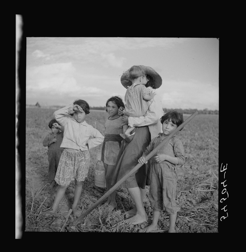 [Untitled photo, possibly related to: Member of Allen Plantation cooperative association resting from hoeing cotton. Near…