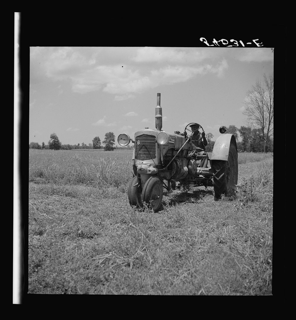 Member of Allen Plantation cooperative association running tractor near Natchitoches, Louisiana. Sourced from the Library of…