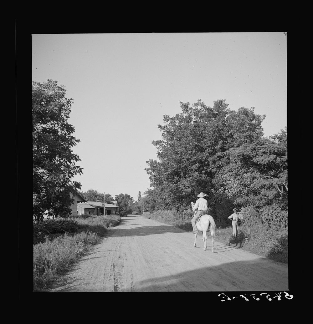 Melrose, Natchitoches Parish, Louisiana. Mulatto returning home after buying supplies at country store. Sourced from the…