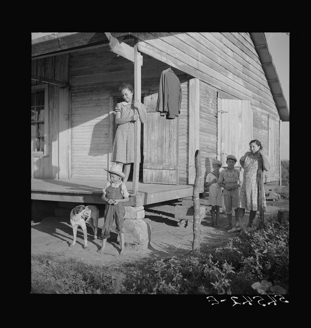 [Untitled photo, possibly related to: Mulattoes' home on Melrose cotton plantation owned by John Henry. Melrose, Louisiana].…