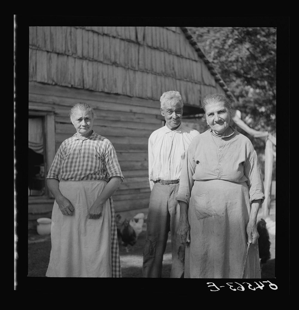 [Untitled photo, possibly related to: Melrose, Natchitoches Parish, Louisiana. Three of the oldest of the French mulatto…