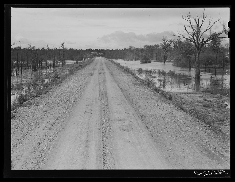 Melrose, Natchitoches Parish, Louisiana. Road leading to Black Lake, excellent fishing area. Sourced from the Library of…