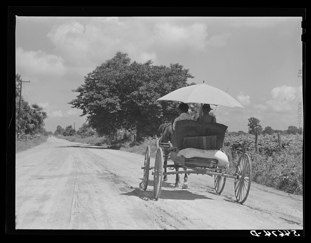 Melrose, Natchitoches Parish, Louisiana. Sourced from the Library of Congress.