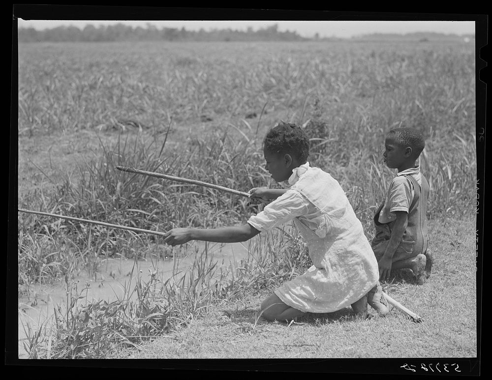  children fishing in ditch. La Delta Project, Louisiana. Sourced from the Library of Congress.