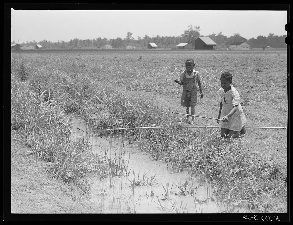 [Untitled photo, possibly related to:  children fishing in ditch. La Delta Project, Louisiana]. Sourced from the Library of…