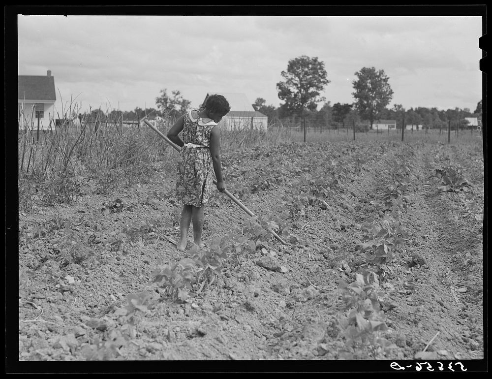Tom Scott's daughter working in their garden by their home at La Delta Project. Thomastown, Louisiana. Sourced from the…