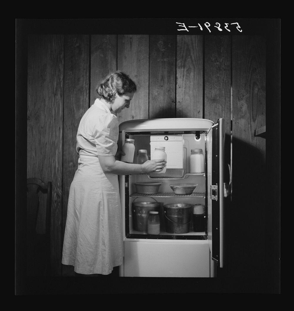 [Untitled photo, possibly related to: Mrs. Pleas Rodden putting fresh milk from their own cow in their frigidaire. They are…