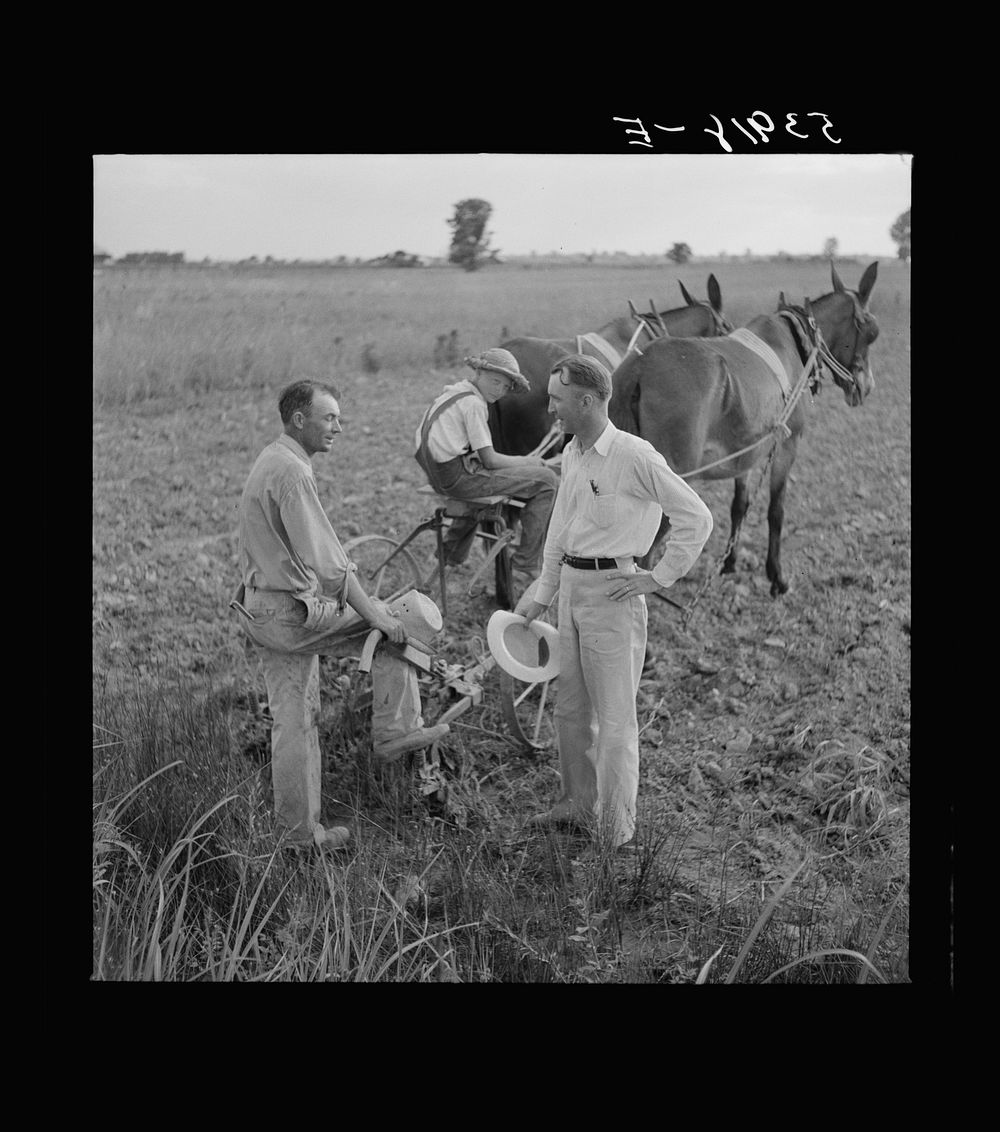 [Untitled photo, possibly related to: Farm Supervisor talking to one of the project farmers. Transylvania, Louisiana].…