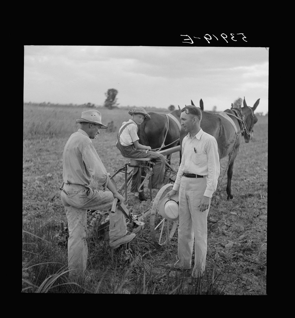 Farm Supervisor talking to one of the project farmers. Transylvania, Louisiana. Sourced from the Library of Congress.