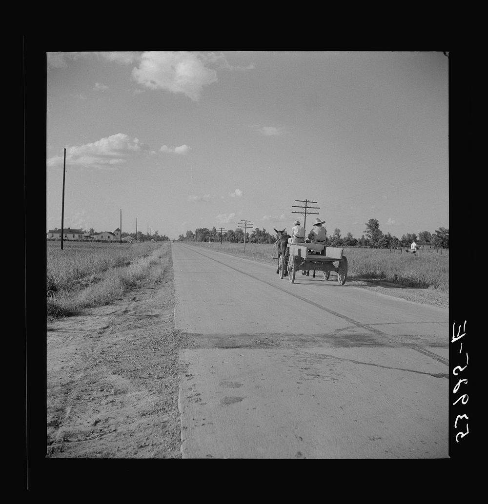 Going to store. Transylvania, Louisiana. Sourced from the Library of Congress.