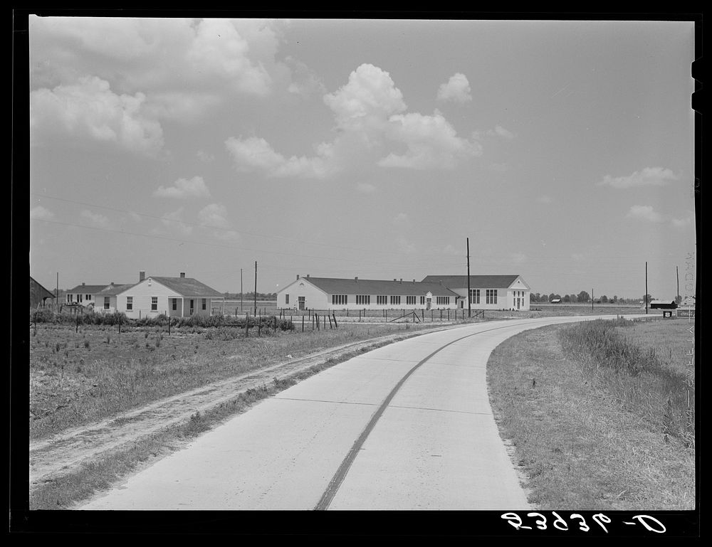 Main highway leading through the project, with school and community building on left. Transylvania Project, Louisiana.…