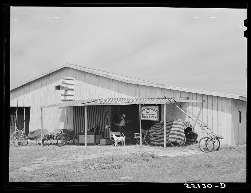 Stables Shelby County horse show Free Photo rawpixel
