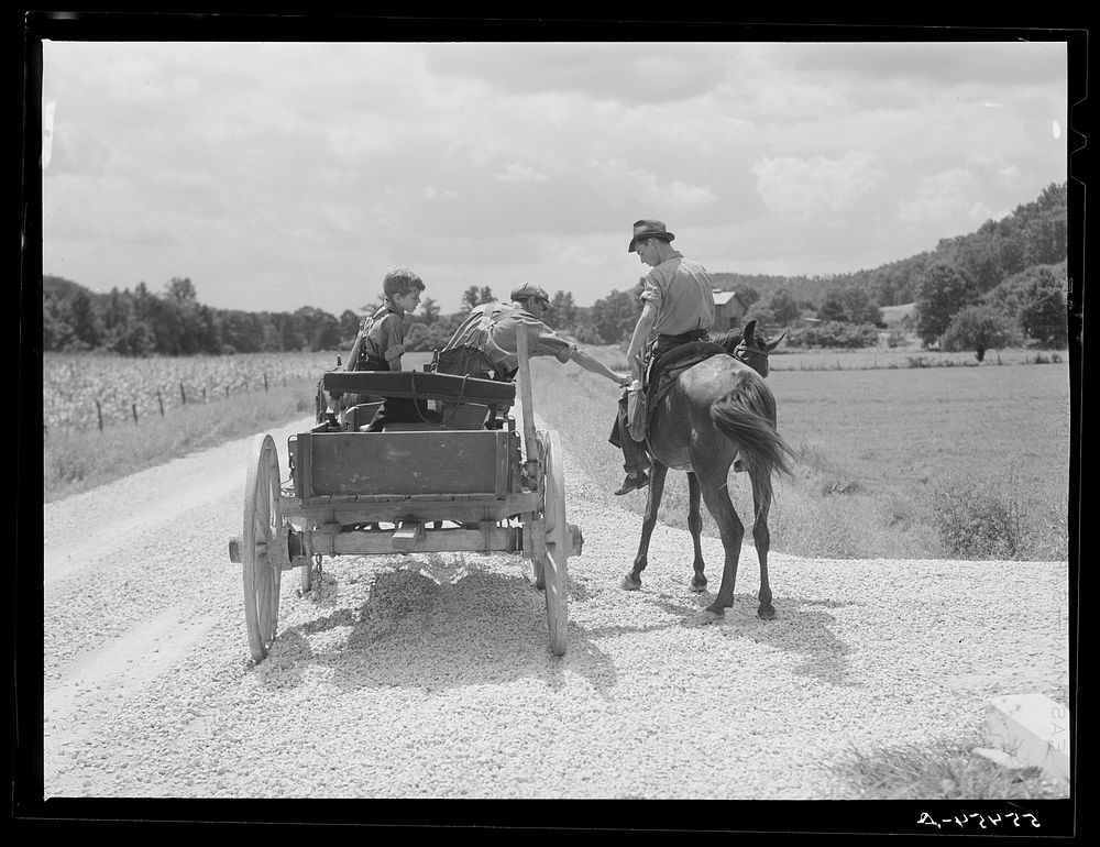 Rural mailman who has brought the mail to the crossroads transfers letters and packages to another postman's saddlebags.…