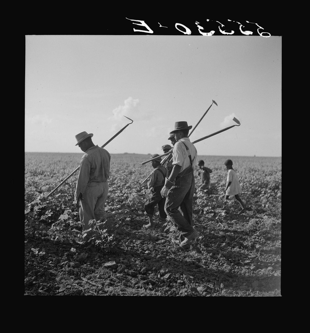 King and Anderson Plantation, Clarksdale. Mississippi Delta, Mississippi. Sourced from the Library of Congress.