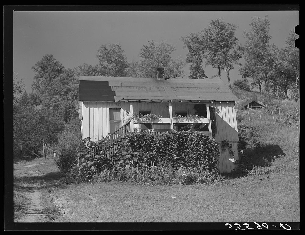 Mountain family's home near Buckhorn, Kentucky. Sourced from the Library of Congress.