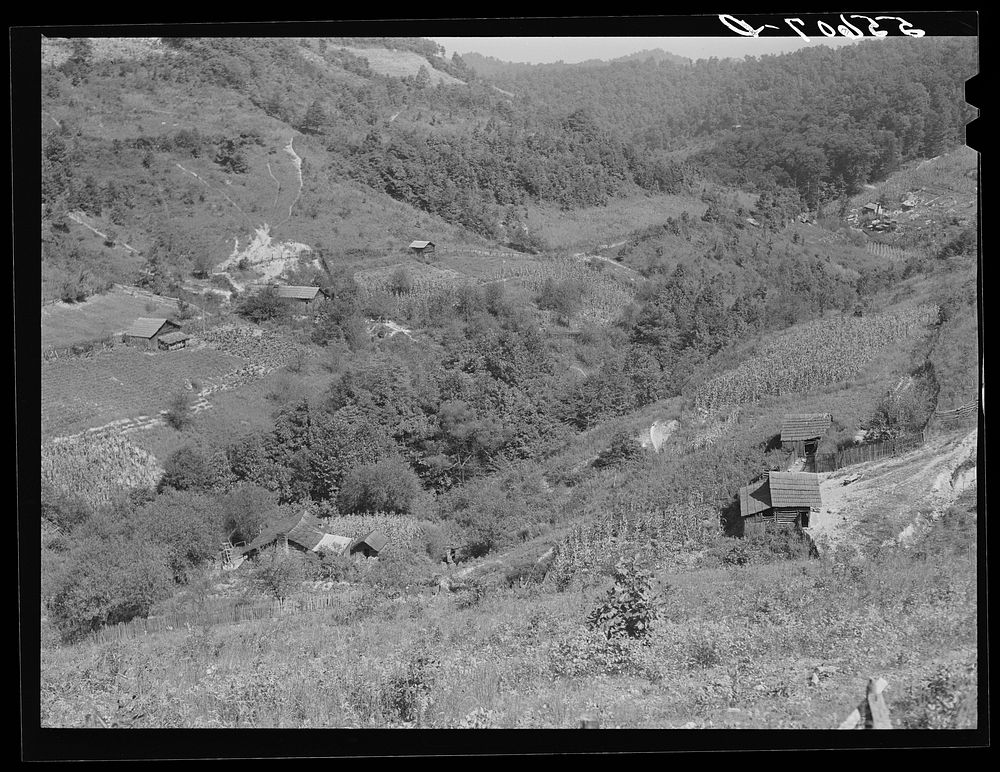 General landscape near Hyden, Kentucky, showing mountain cabins, sheds and cornfields. Sourced from the Library of Congress.