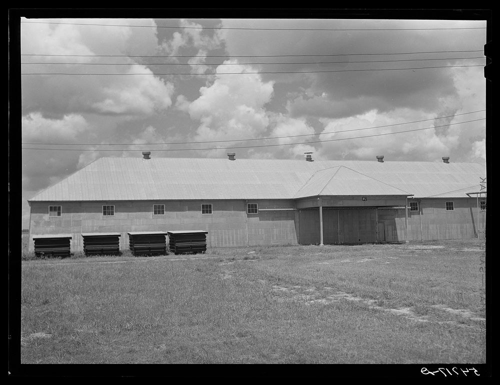 Seed house and portable cotton houses on Hopson cotton plantation. Clarksdale, Mississippi Delta, Mississippi. Sourced from…