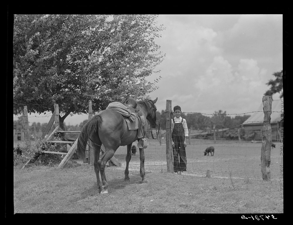 [Untitled photo, possibly related to: The horse is a frequent means of transportation on the country roads and around the…
