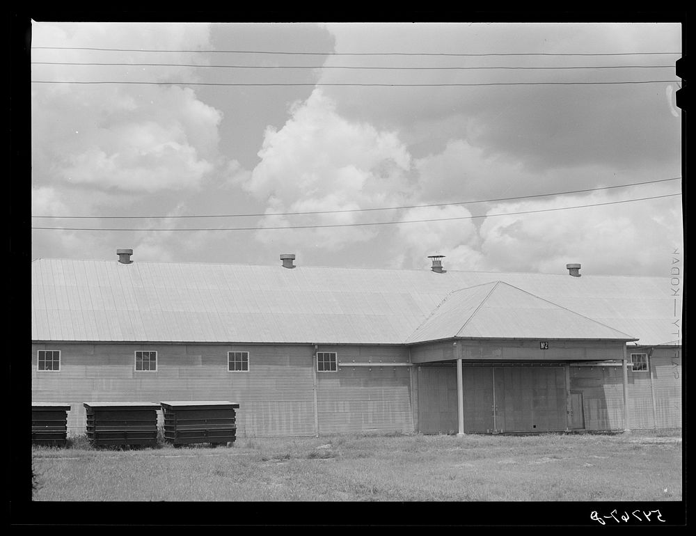 [Untitled photo, possibly related to: Seed house and portable cotton houses on Hopson cotton plantation. Clarksdale…