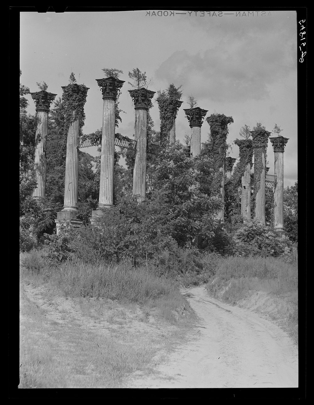 Port Gibson, Mississippi. Ruins of the old Windsor house, once a palatial estate, which was built in 1859 and destroyed by…