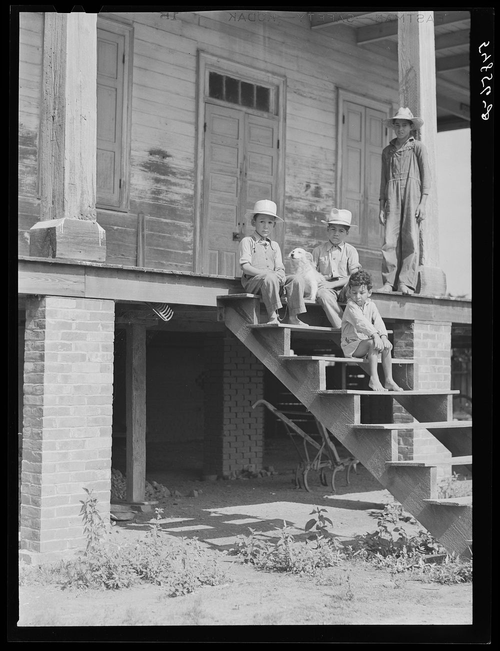 Children of mulatto family sitting on steps of very old home built by some prosperous mulattoes. Melrose, Louisiana. Sourced…