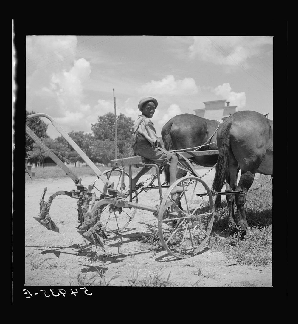 [Untitled photo, possibly related to: After the noon hour in the plantation yard, the mules, tractors and cultivators are…