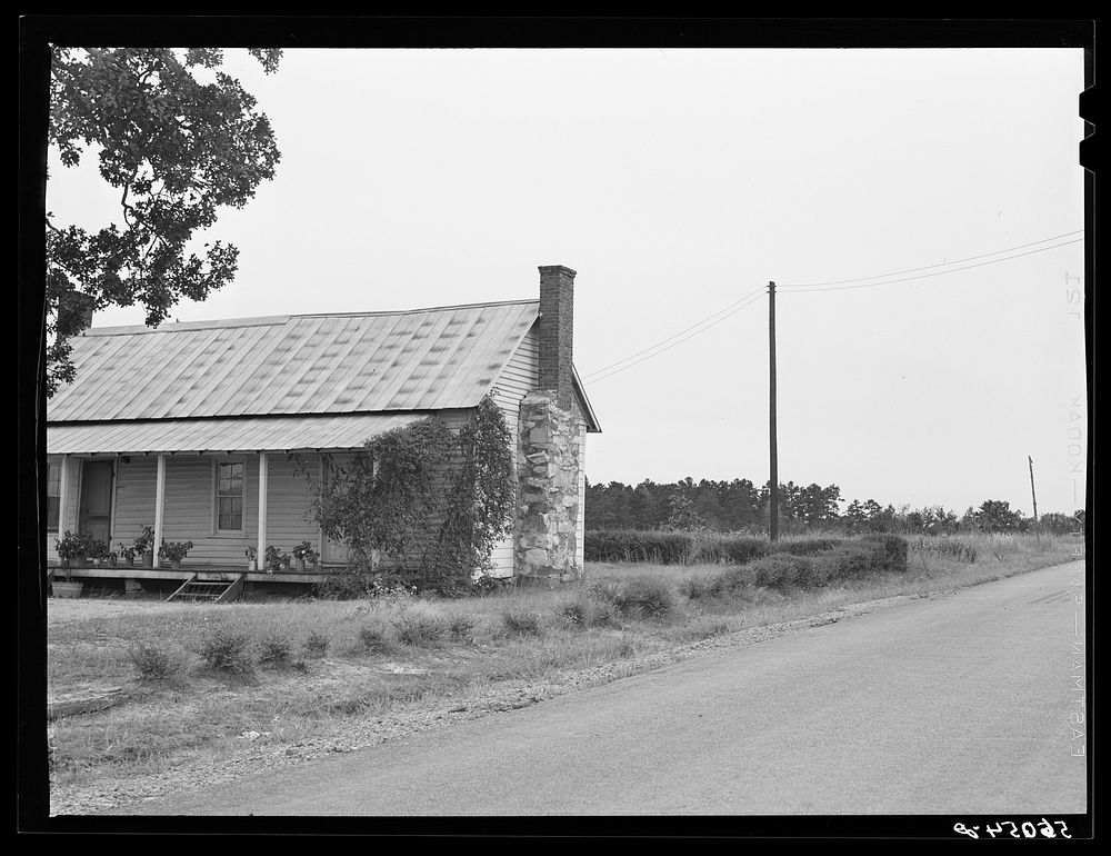 [Untitled photo, possibly related to: REA (Rural Electrification Administration) line going to a home in Caswell County…