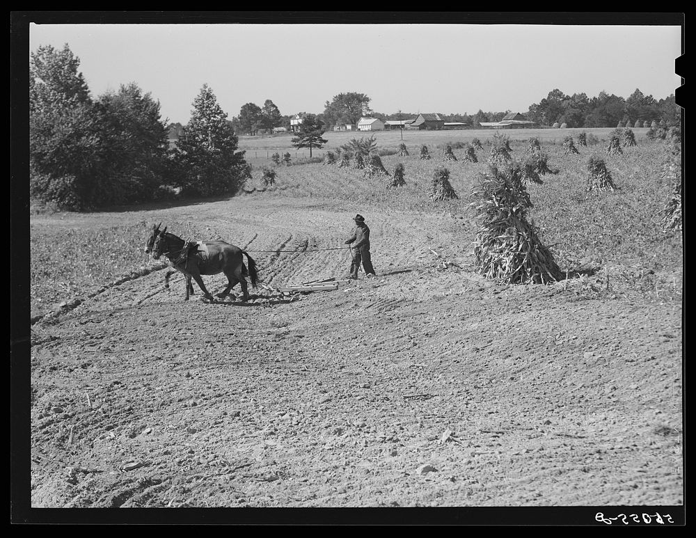 CCC (Civilian Conservatioon Corps) boys seeding and preparing a meadow strip for terrace outlet made on property of FSA…