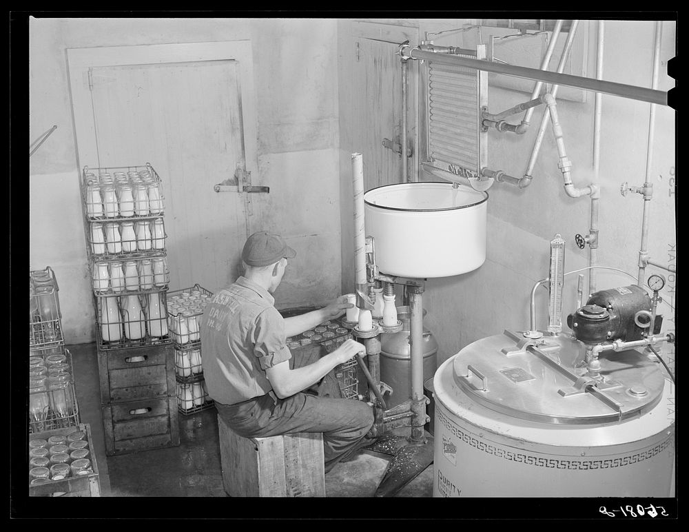 [Untitled photo, possibly related to: Pasteurizing and bottling milk in the Caswell Dairy, owned and operated by E.O.…