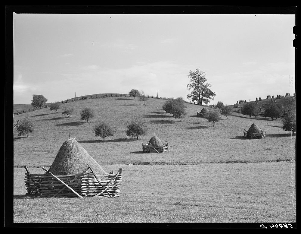 Landscape in North Carolina. Sourced from the Library of Congress.
