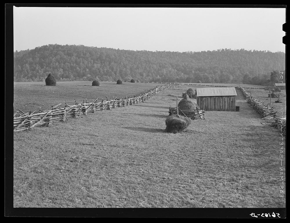 [Untitled photo, possibly related to: Haystacks and split rail fence near Marion, Virginia]. Sourced from the Library of…