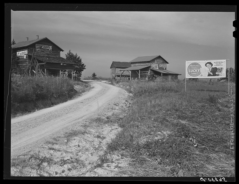 [Untitled photo, possibly related to: Tobacco barns and cigarette advertisements on country road in Prospect Hill section.…