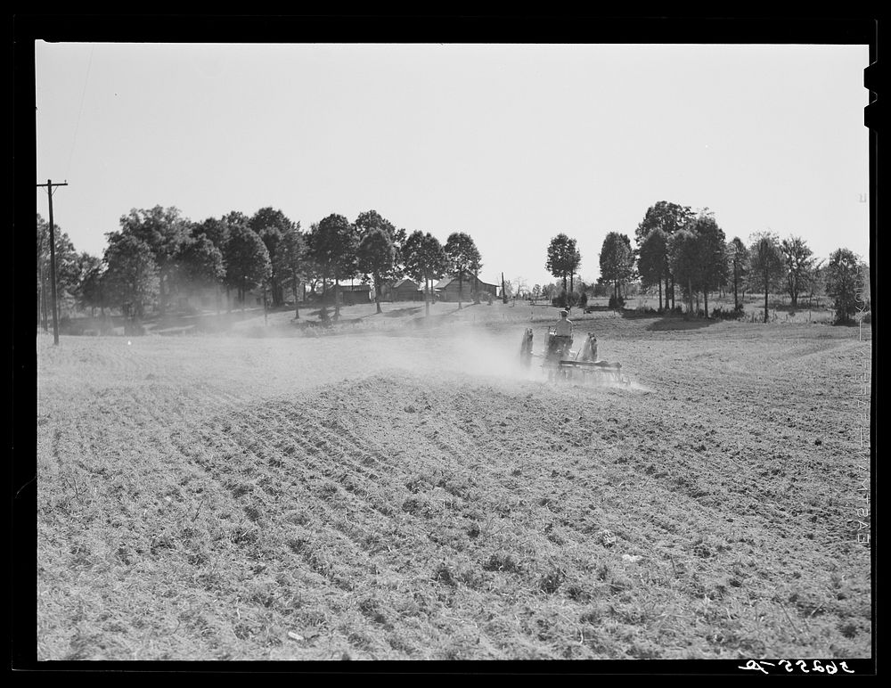Discing and preparing land before planting winter grain crop on Wood's farm, a few miles north of Yanceyville on Danville…