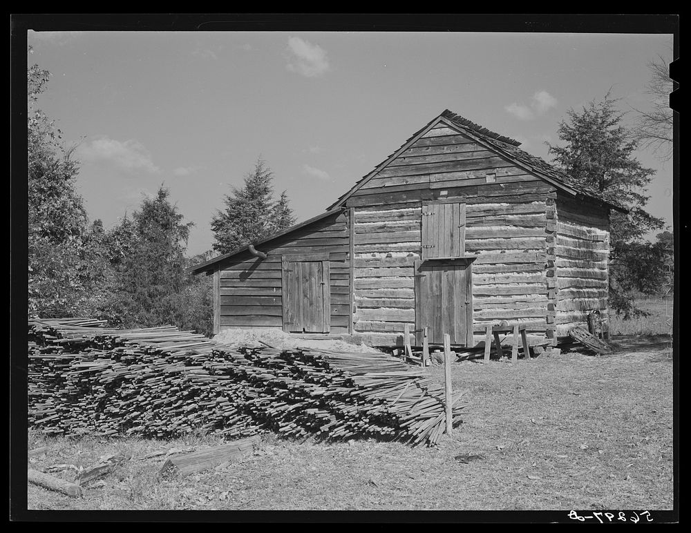 Sticks used in stripping tobacco in front of strip house on Emery Hooper's farm in Corbett Ridge section near Prospect Hill.…