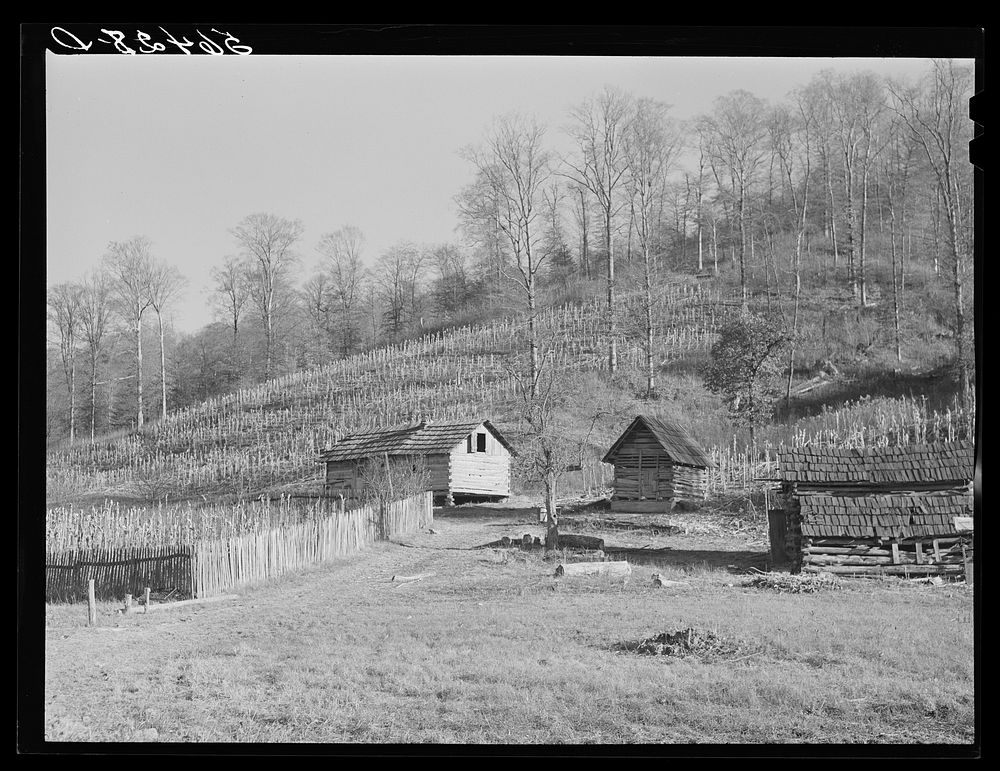 Josh Calahan's old home and barns with corn field on the hillside.  Southern Appalachian Project near Barbourville, Knox…