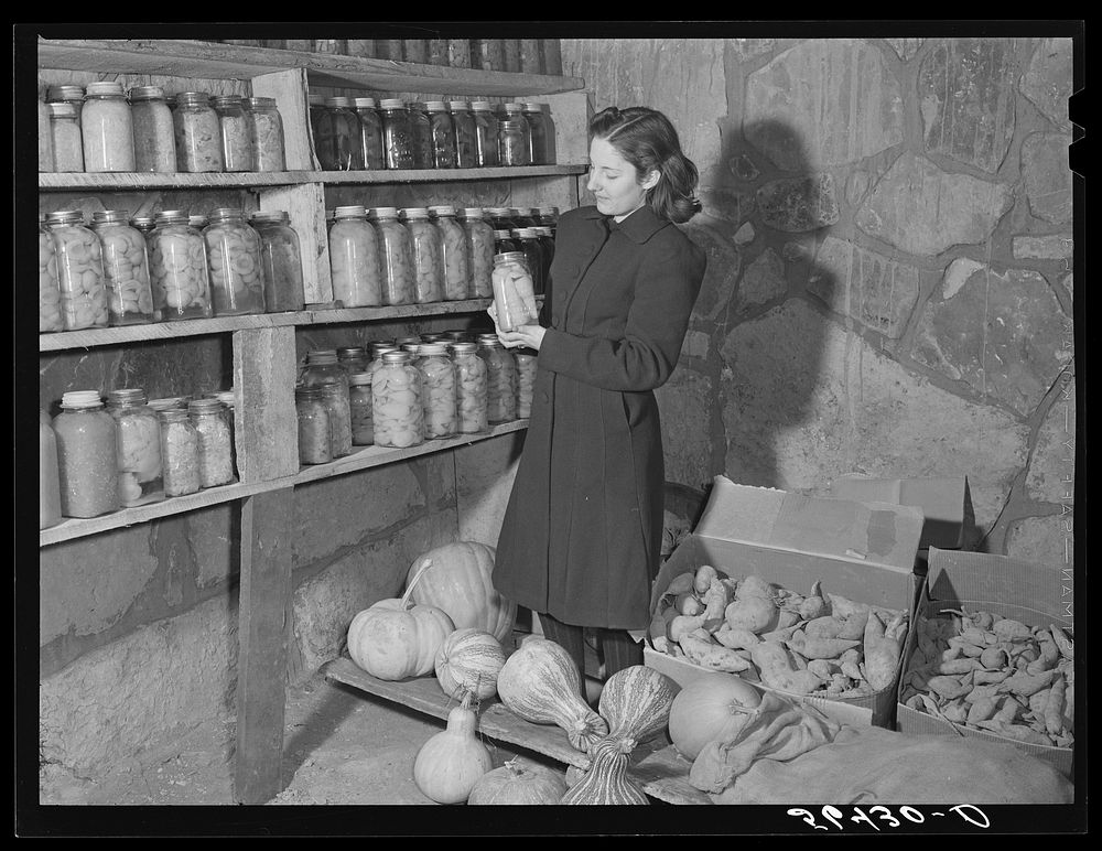 [Untitled photo, possibly related to: S.H. Castle's vegetables and canned goods raised on his farm in his new storage house.…