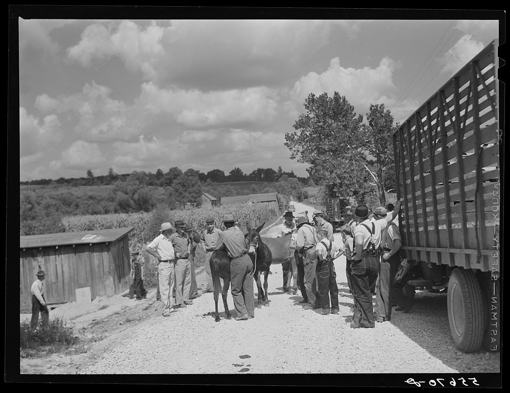 Farmers trading mules and horses on "Jockey Street" in Campton, Kentucky. Sourced from the Library of Congress.