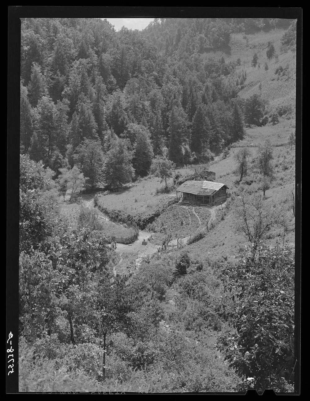 Homes with gardens, patches of tobacco and corn in mountain section near Hyden, Kentucky. Sourced from the Library of…