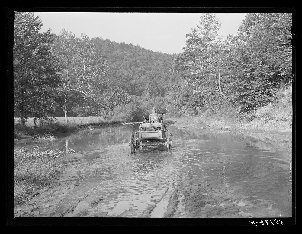 Mountaineers hauling coal up the creek bed to their homes. Morris Fork, Kentucky River near Jackson.  August 1940. Sourced…