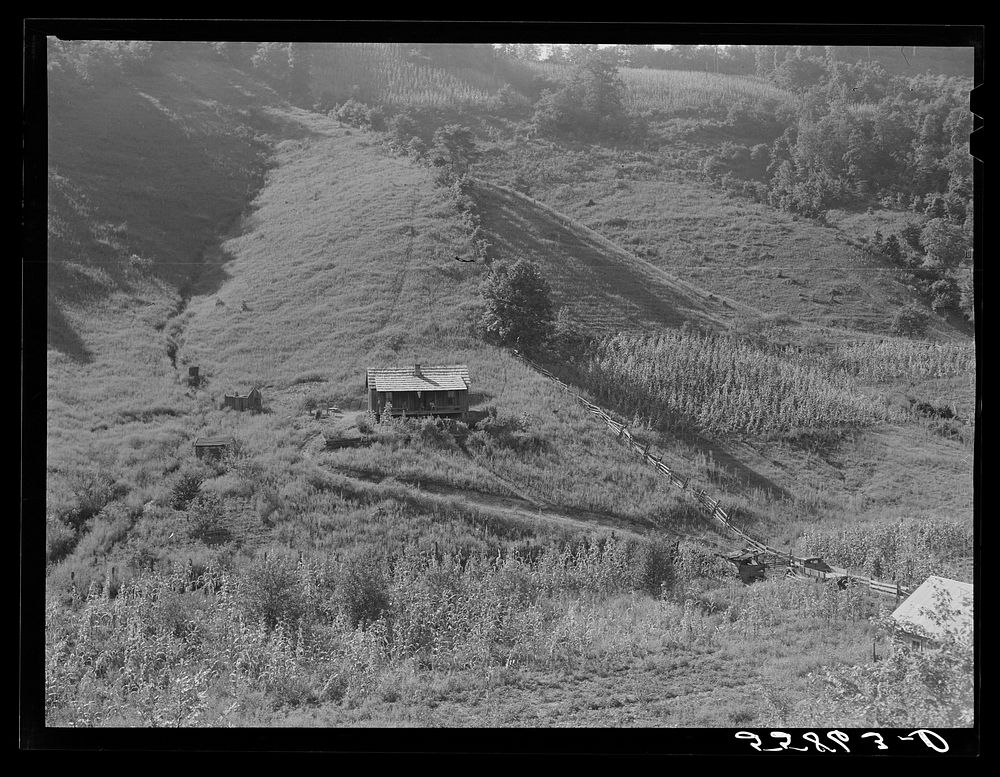Homes gardens, patches tobacco and Free Photo rawpixel