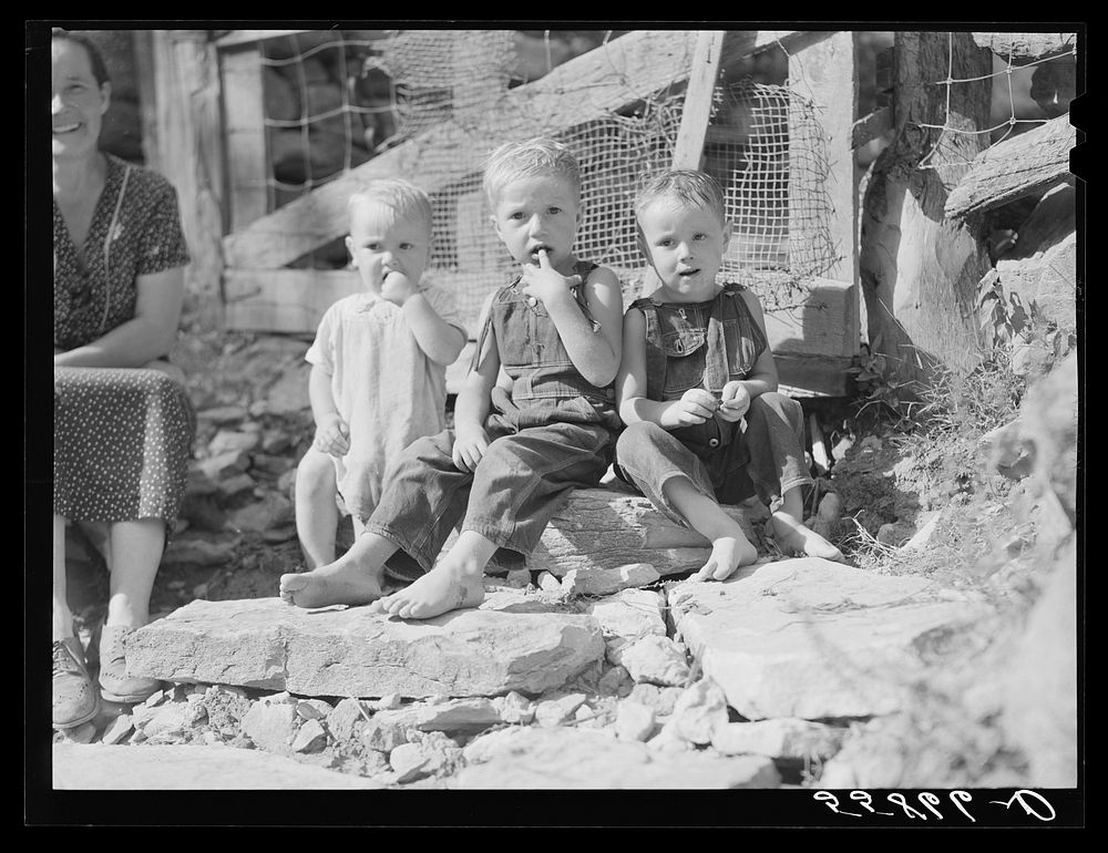 Children by the gate of their home up Stinking Creek, near Pine Mountain, Kentucky. Sourced from the Library of Congress.