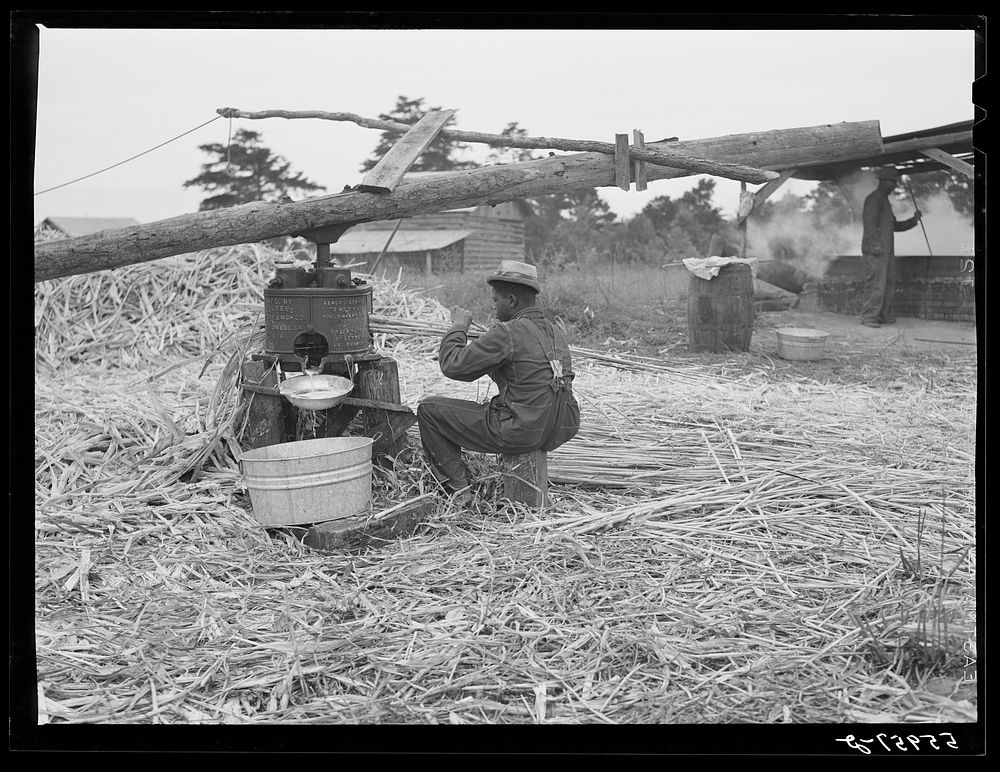 Making sorghum syrup in Caswell County, North Carolina. Sourced from the Library of Congress.