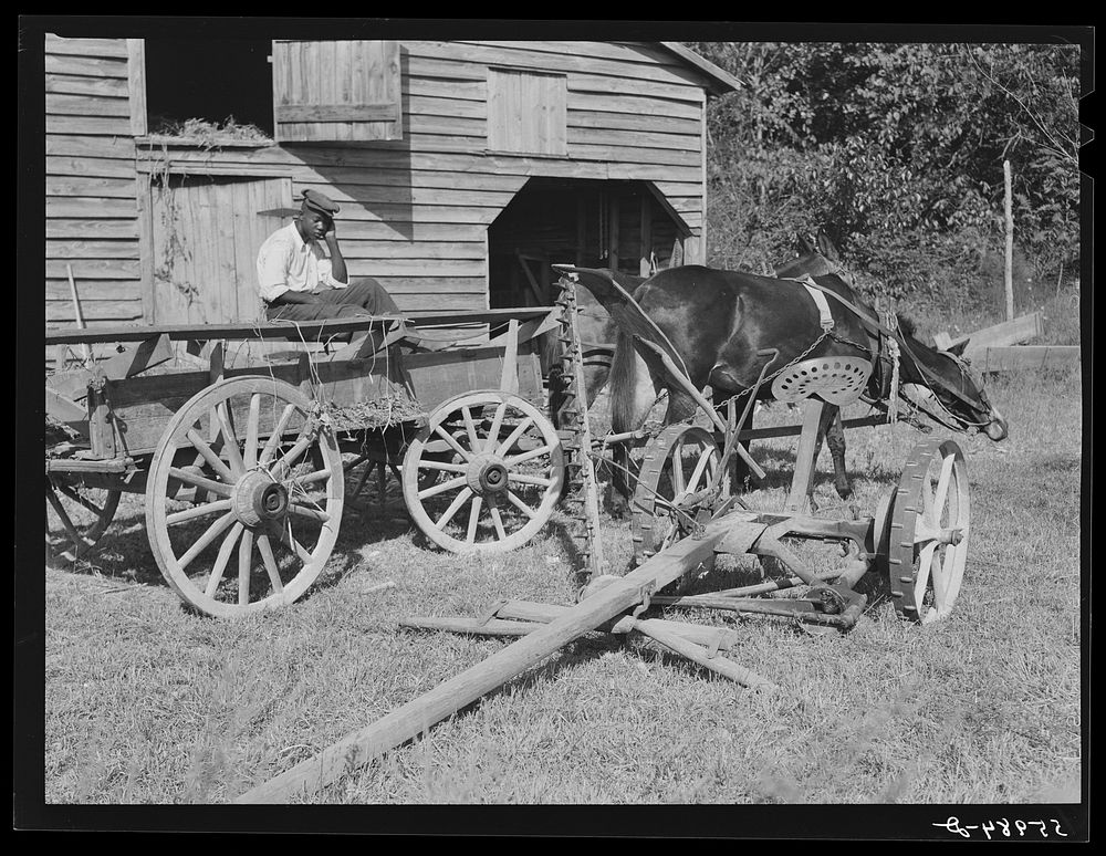  helper with wagon in front of J.V. Harris' barn, nine miles south of Chapel Hill on Highway 15. Chatham County, North…
